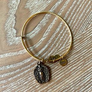 Alex and Ani 2015 Guardian of Knowledge bracelet